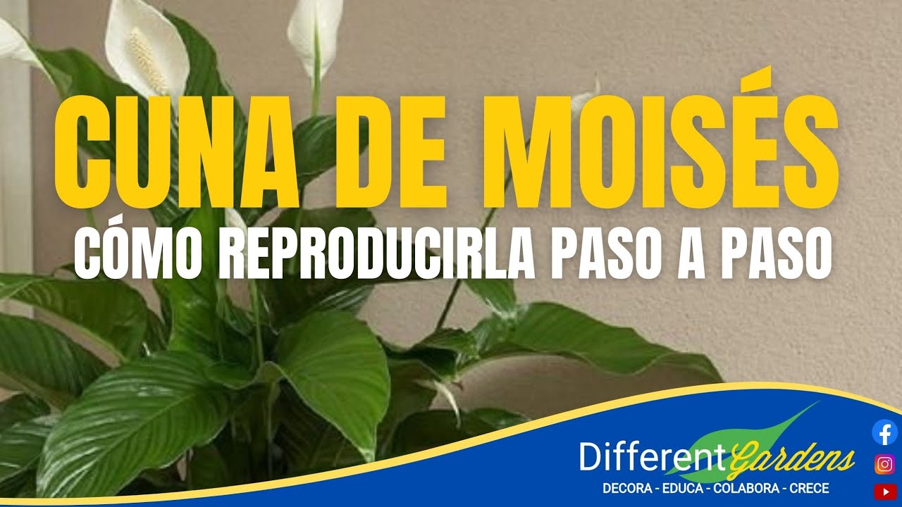 UNA IDEA PARA REPRODUCIR TU CUNA DE MOISES FACILMENTE