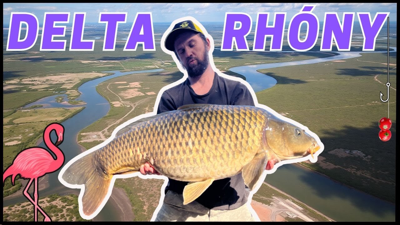 Feeder, plavaná, kaprařina # 6 | Kapři v deltě Rhóny