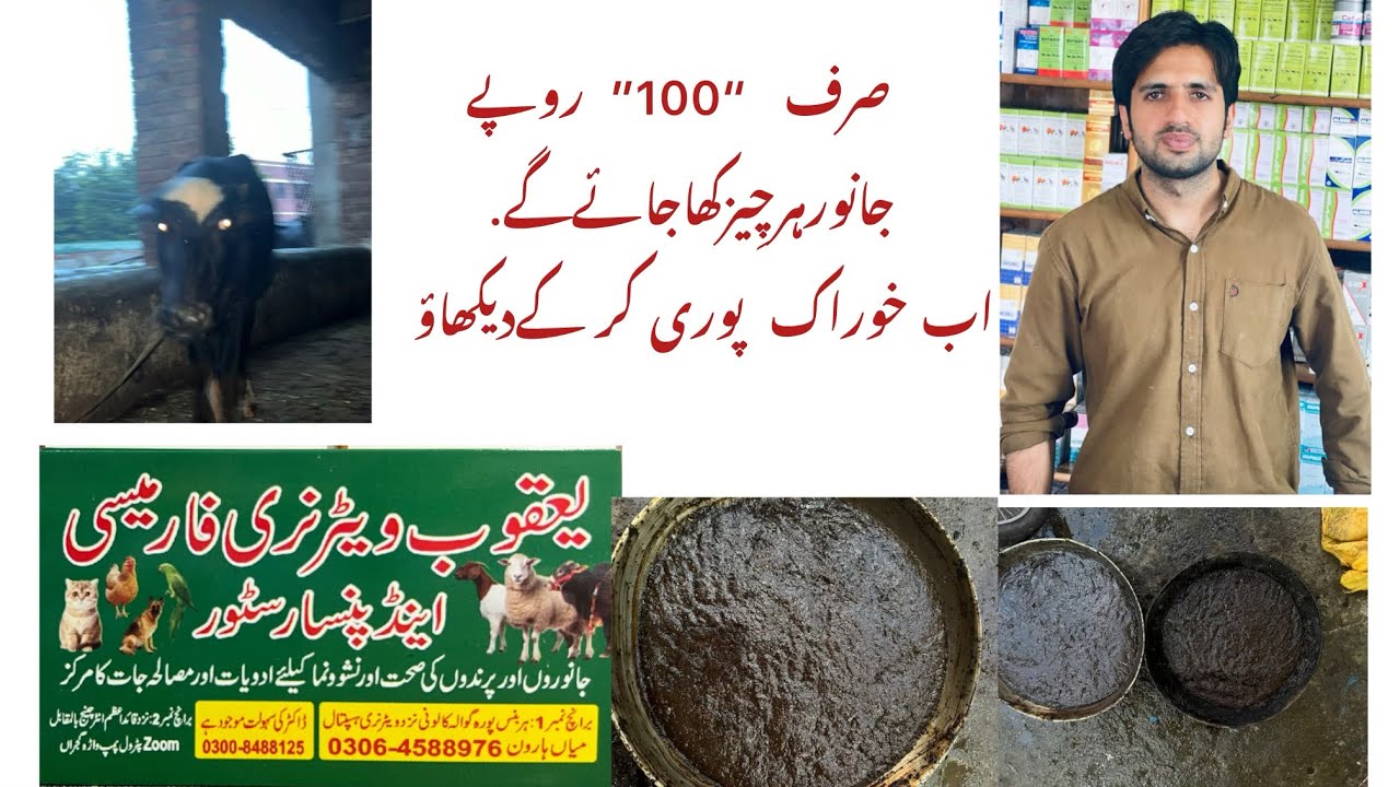 Janwaro Ko Bhook Lagany Ka Tarika.