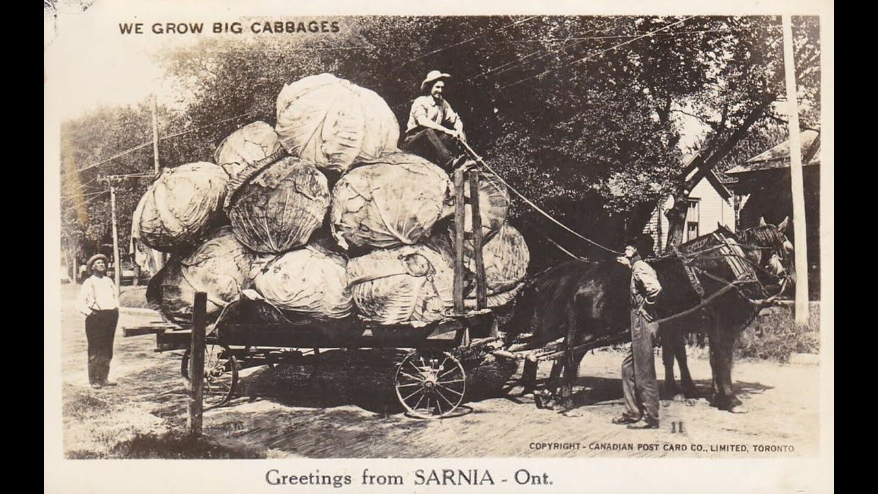 50 Old Pictures of Sarnia Ontario Canada [ Episode # 116 ]