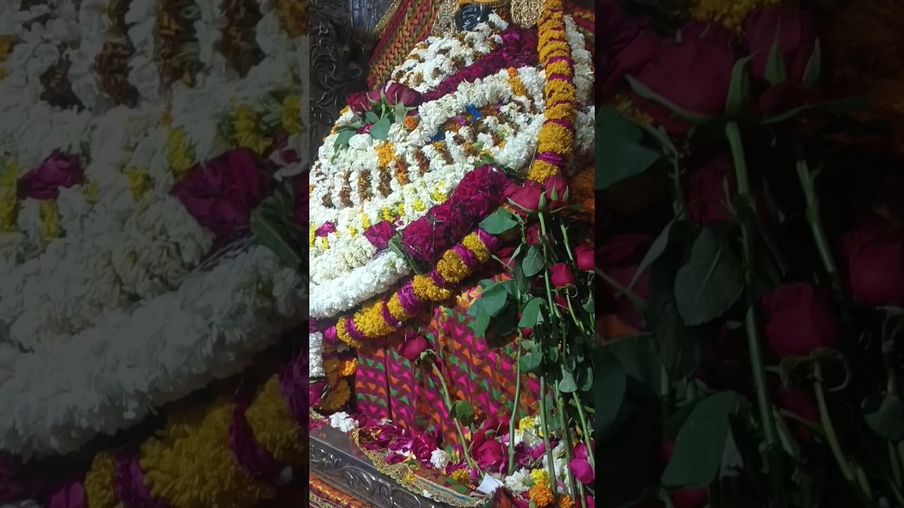 Suraj kund mandir madar gate Ajmer #shorts #khatushyam #babashyam #ytshorts #khatunaresh