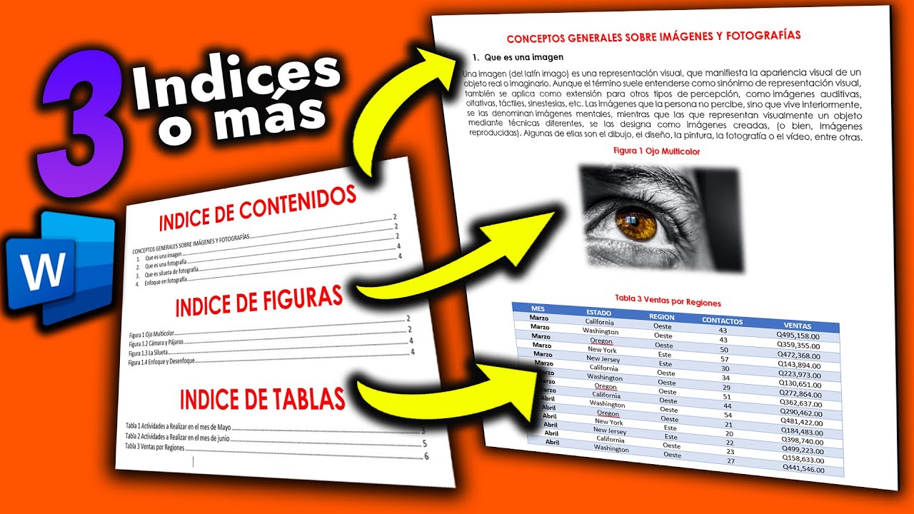 cómo hacer varios Indices de Word en un mismo documento
