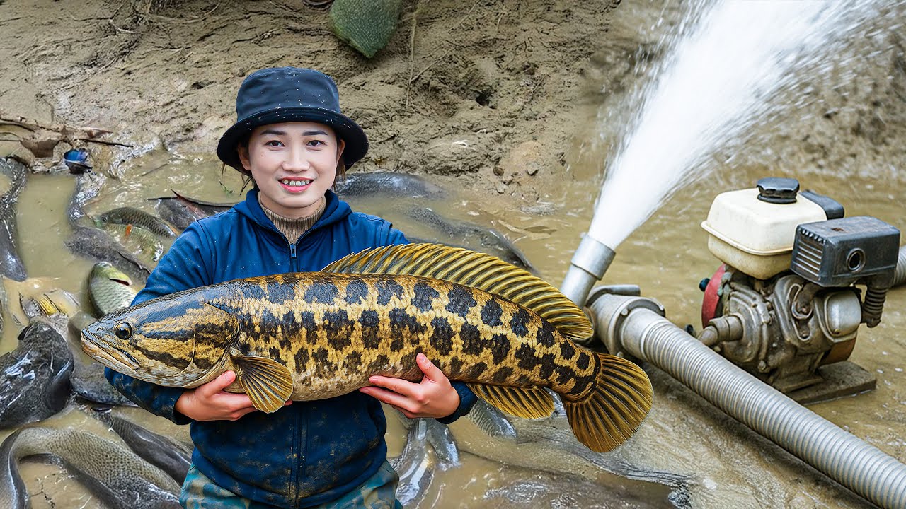 Hoa Has Become A Professional Hunter, The First Time Hoa Has harvesting So Many Fish