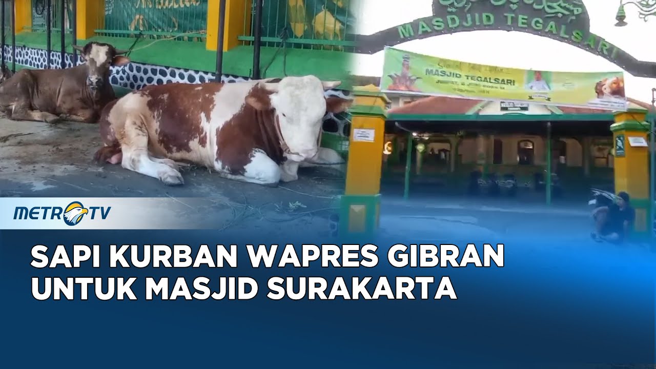 Wapres Gibran Salurkan Hewan Kurban Ke Sejumlah Masjid di Surakarta