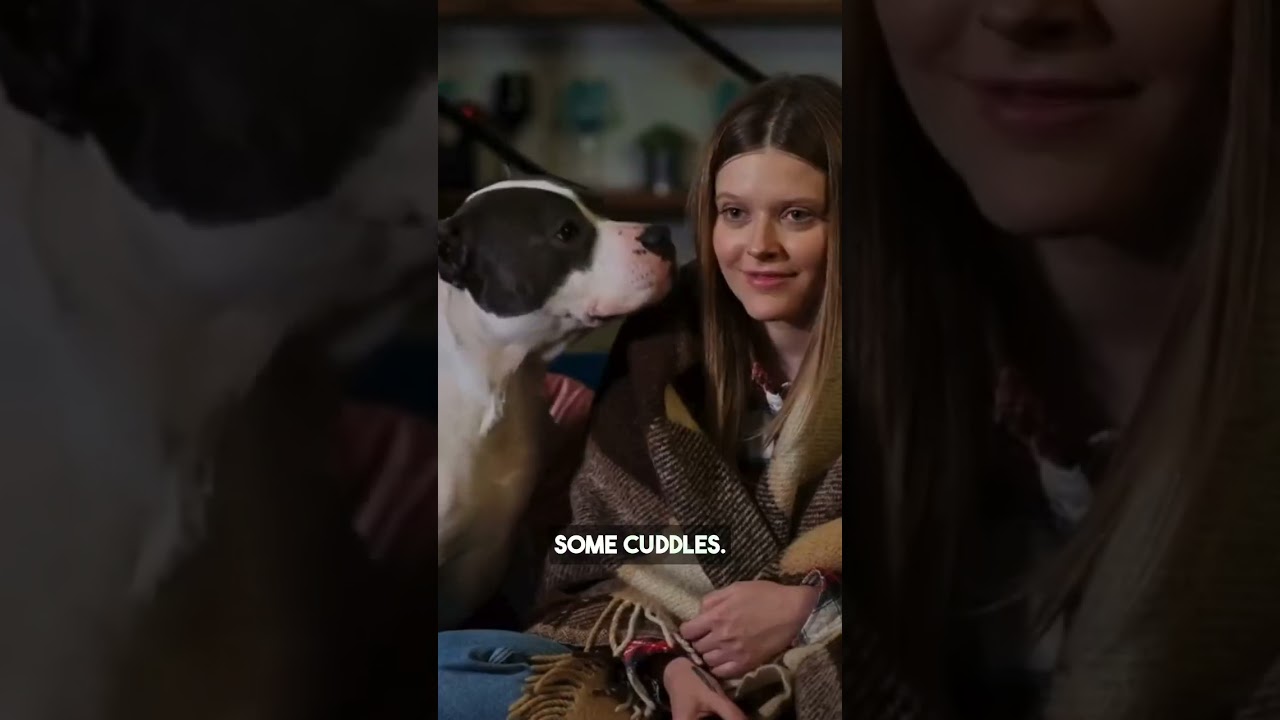 Why Do Dogs Lick You? The Real Reason Might Surprise You! 👅🐶