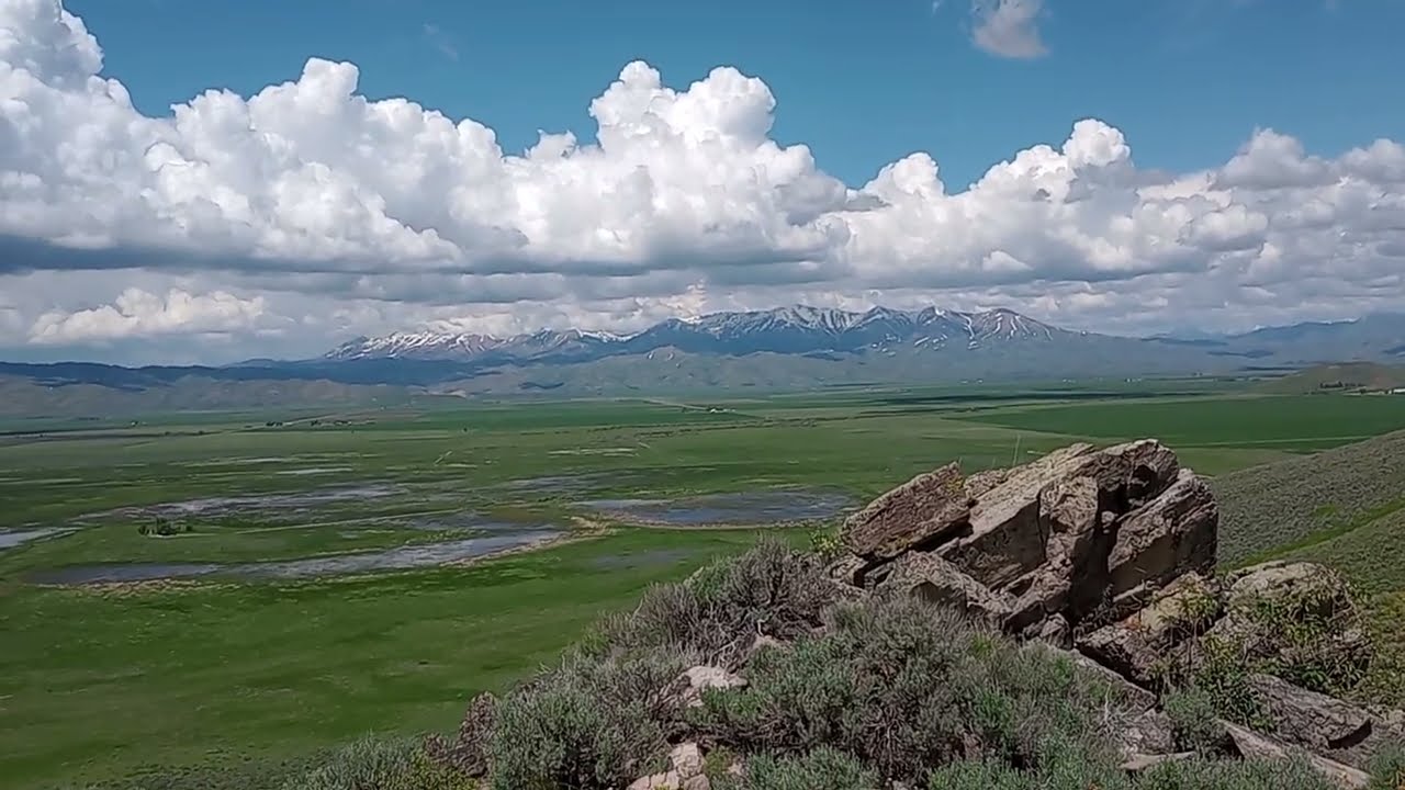 Camas Prairie Bioglyphs - Groundbreaking Discovery