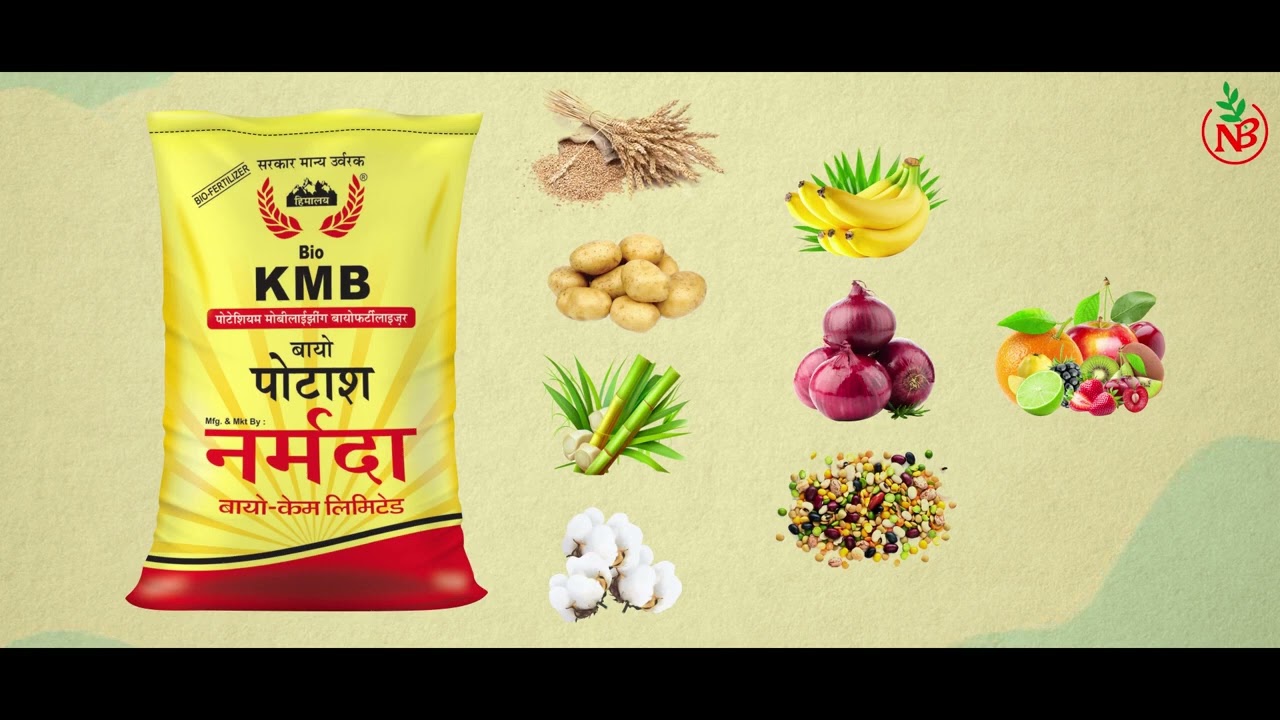 Narmada Bio KMB - Potash Mobilizing Biofertilizer (નર્મદા બાયો કેએમબી - પોટાશ મોબિલાઇઝિંગ જૈવ ખાતર)
