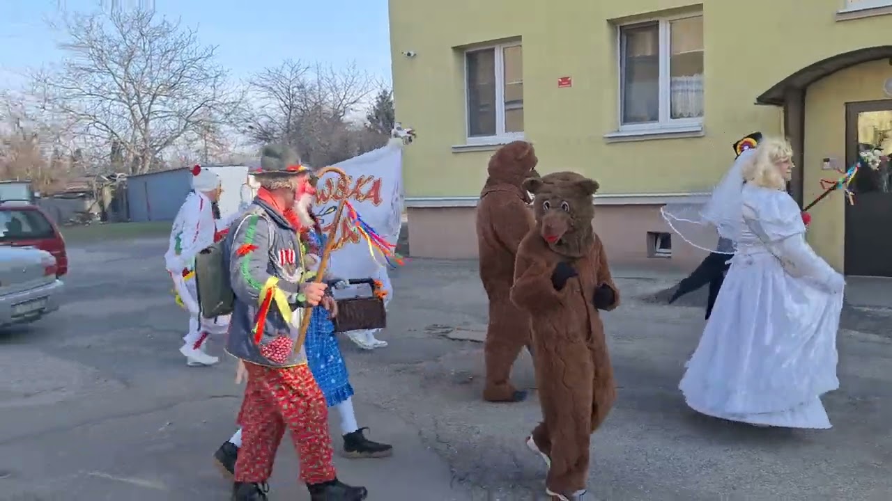 KOZA MĄTEWSKA 2025
