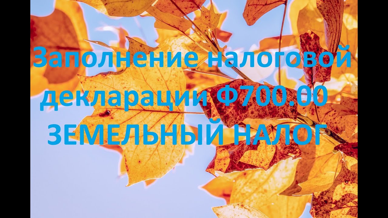 Земельный налог - заполнение налоговой декларации формы 700.00