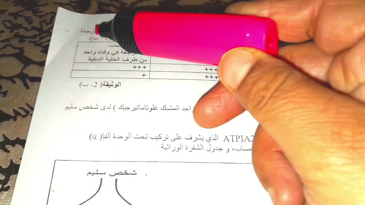 تمرين 22دور البروتينات في الاتصال العصبي #bac_2024 #