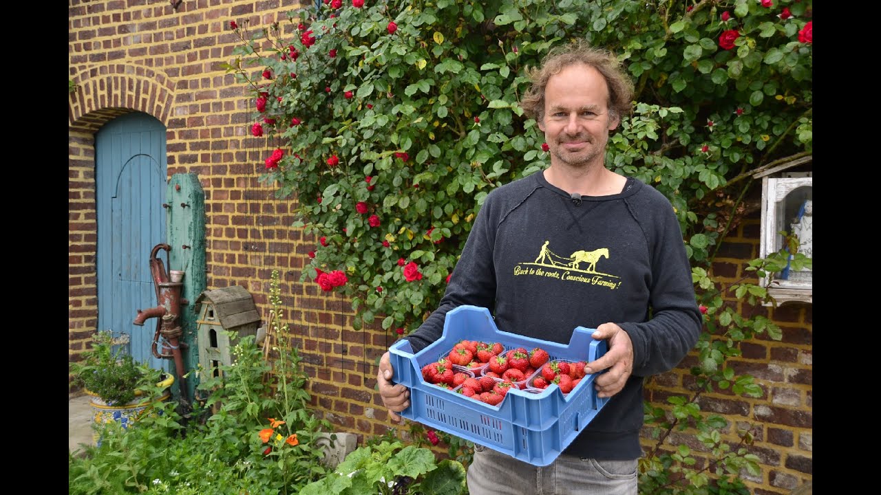 Alles over bio - DE LEVENSBRON: biologische aardbeien zijn eerlijke voeding
