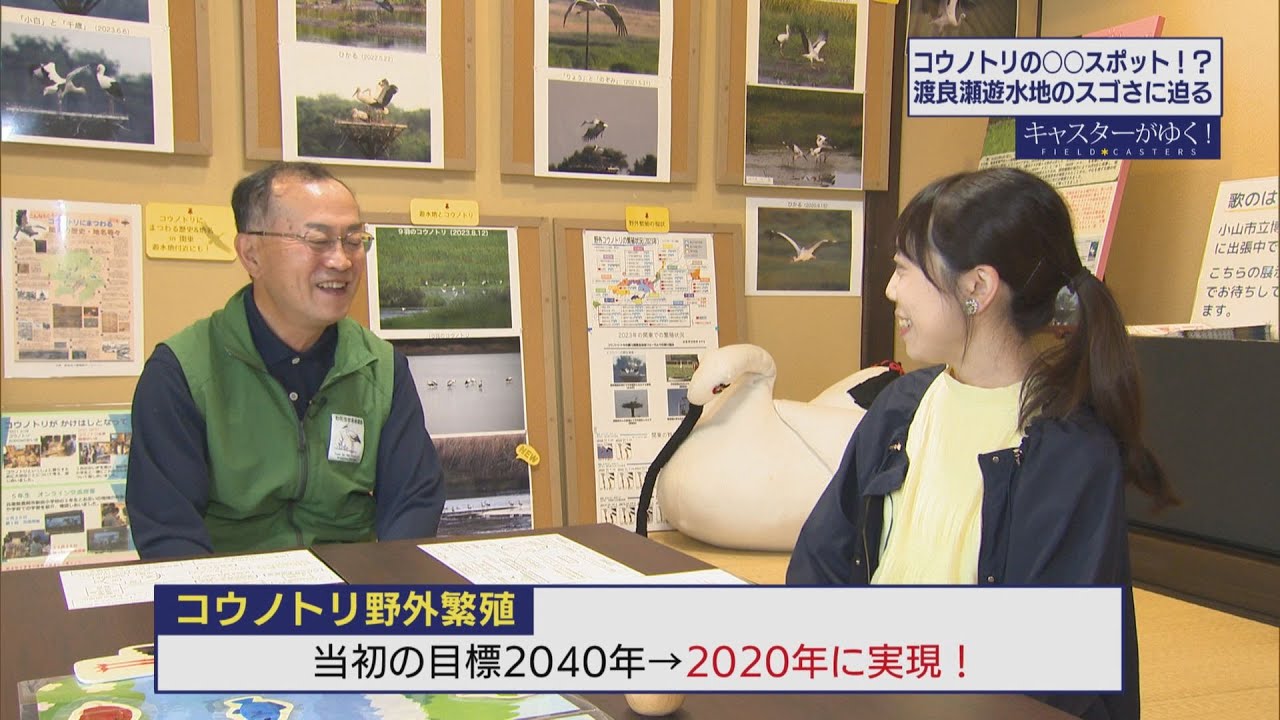 【キャスターがゆく】コウノトリの〇〇スポット！？　渡良瀬遊水地のスゴさに迫る