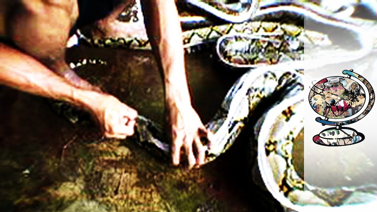 The Gruesome Details behind Snakeskin Purses