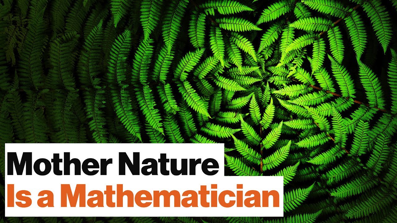 Universal Mathematics: All Life on Earth Is Bound by One Spooky Algorithm | Geoffrey West