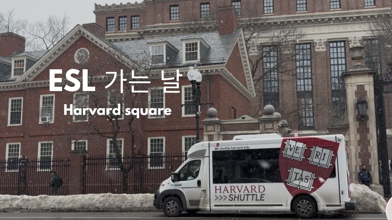 도서관에서 영어 배우는 날 | Harvard Square, black sheep bagel, faro cafe