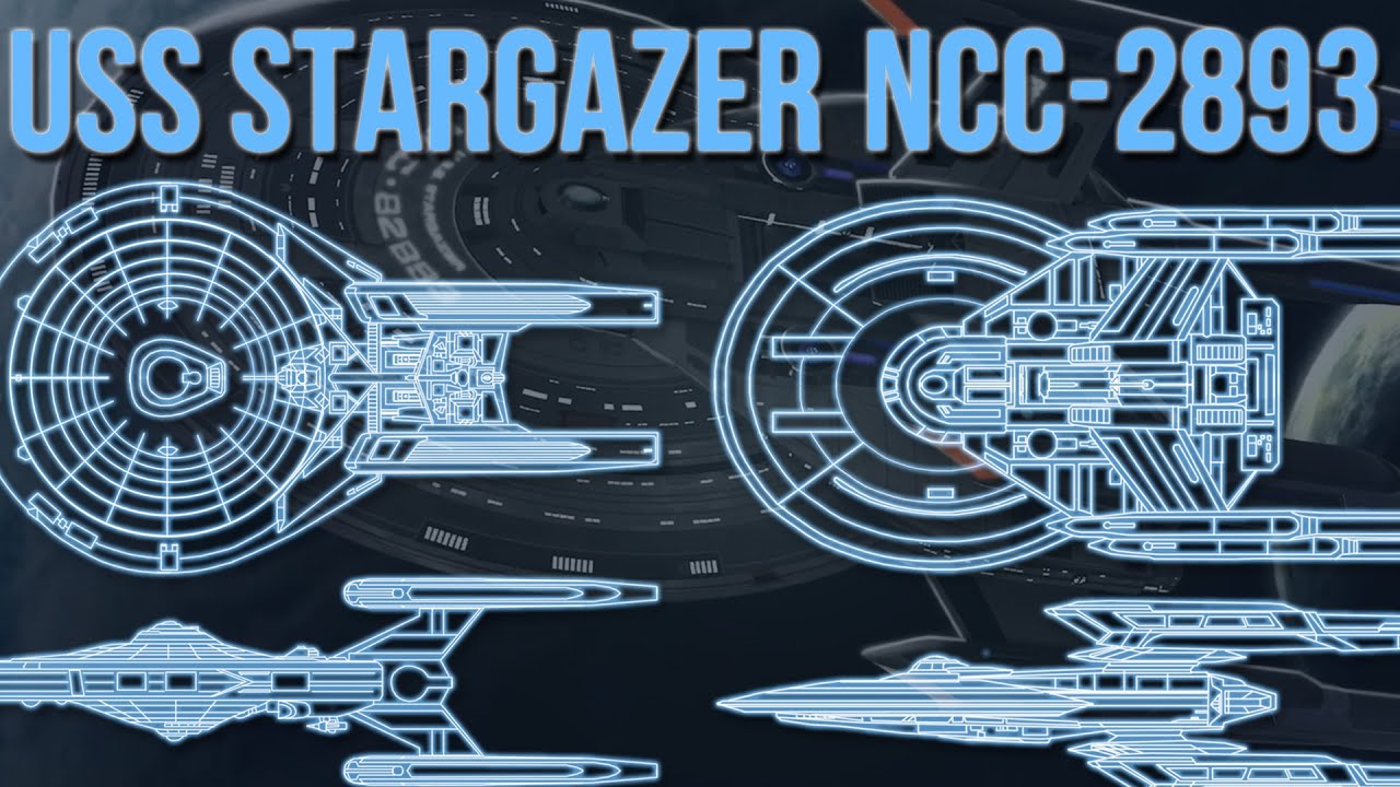 The STARGAZER Legacy