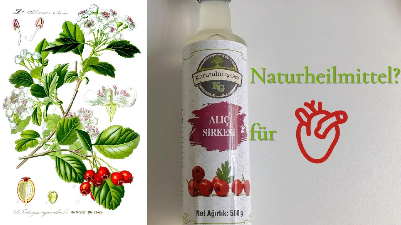 Weißdornessig Erklärt