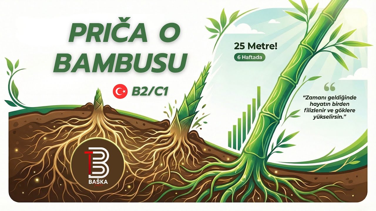 Zašto se tvoj trud ne vidi? Priča o bambusu koja mijenja pogled na život (B2/C1 level)