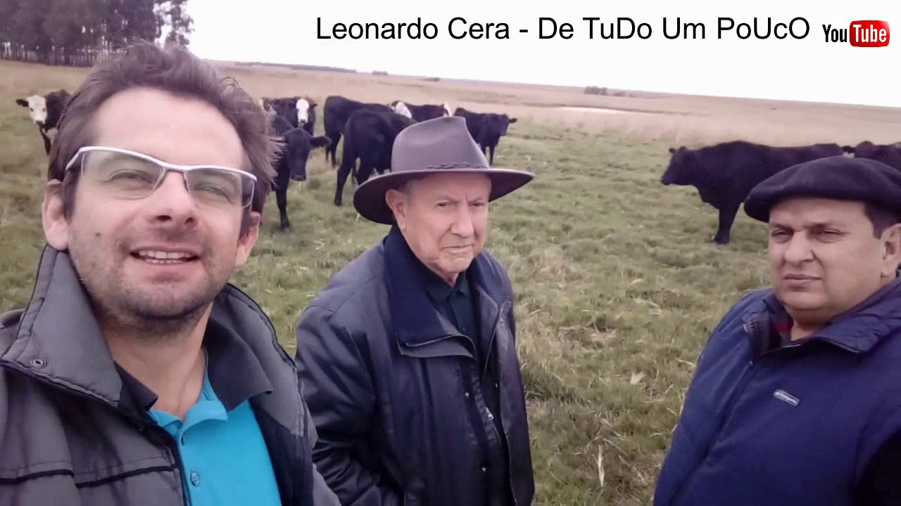 06   Pecuária em Campo Nativo