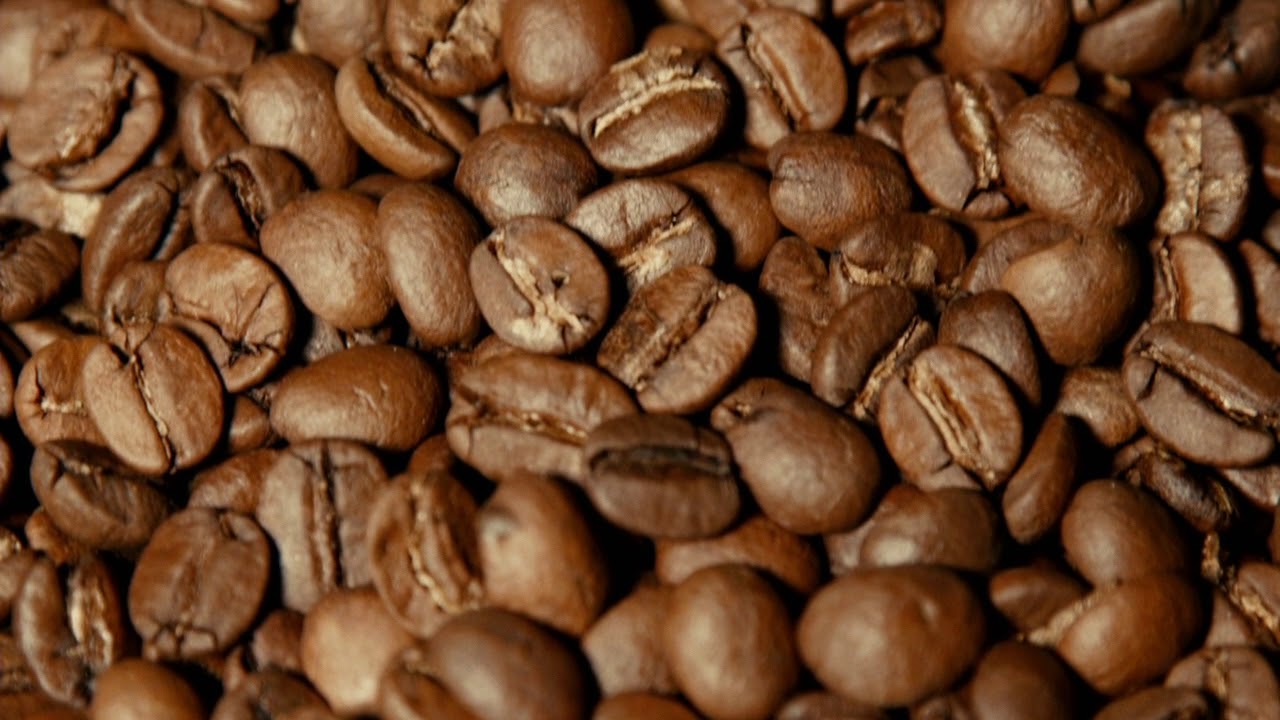 Sandalj Coffee: Brazil Cerrado Dulce NY2 Fine Cup
