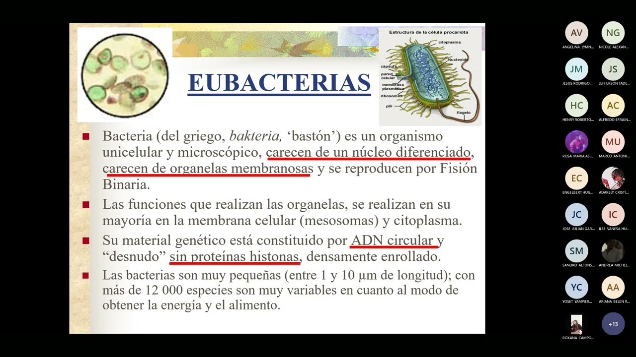 BIOLOG&Iacute;A 5/ C&eacute;lula Procariota/ CEPREVI UNFV
