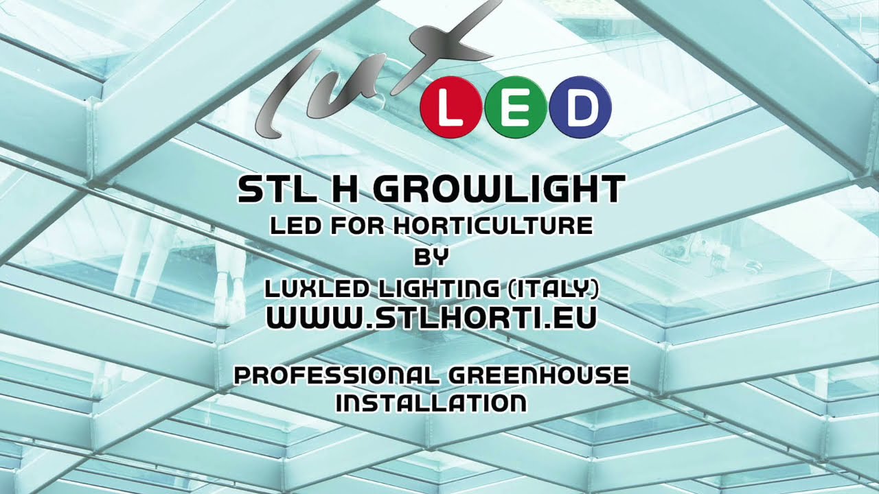 STL H Growlight, LED lamp for tomato cultivation greenhouse.