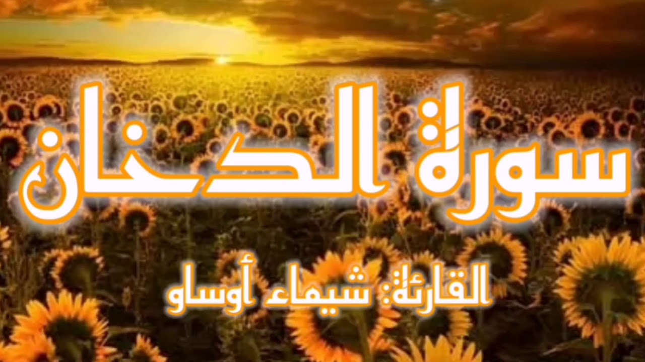سورة الدخان| تلاوة خاشعة للقارئة شيماء أوساو_رواية ورش عن نافع|Surat Ad-Dukhan/Chaimaa Oussaou