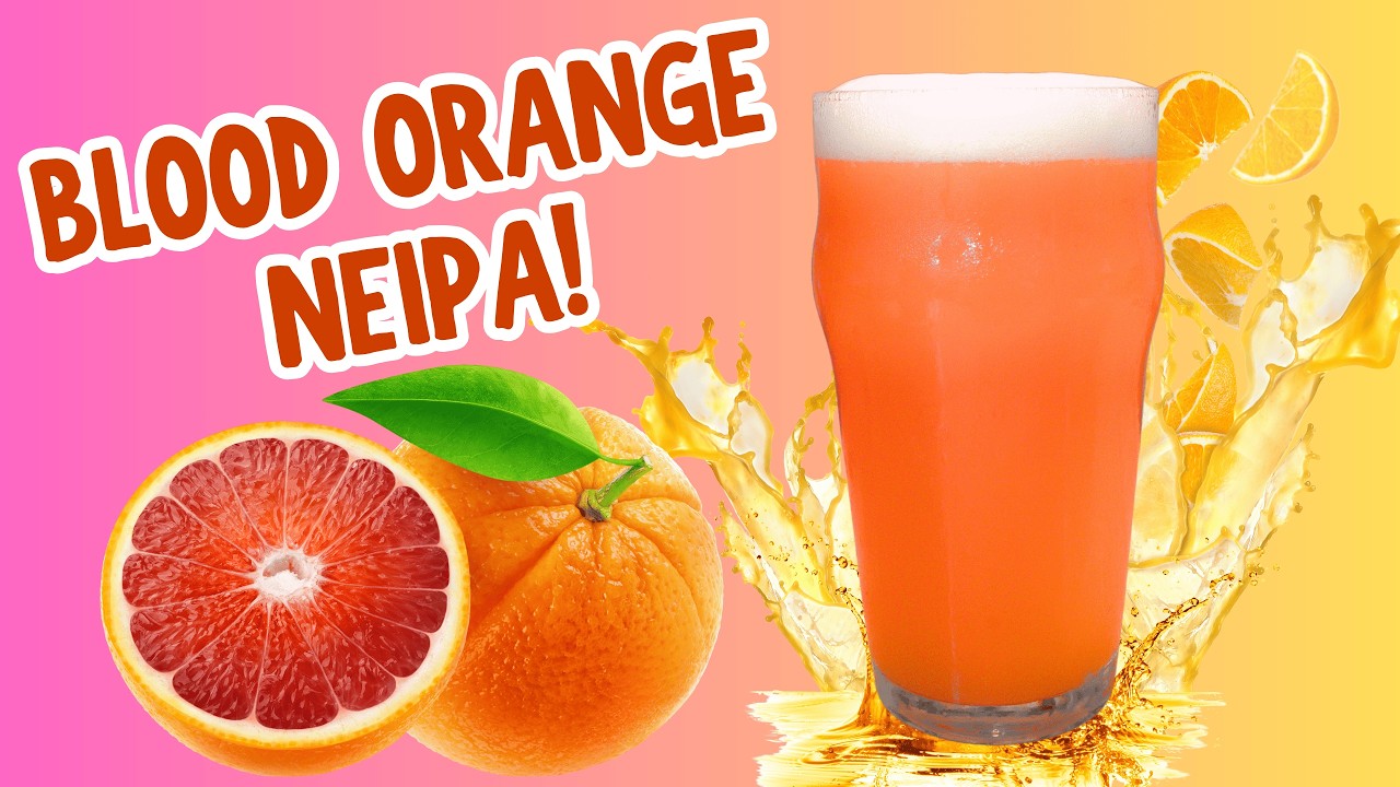 How to BREW a BLOOD Orange NEIPA!