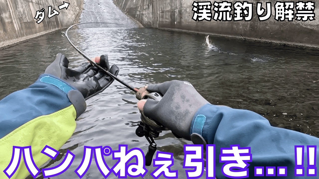 【2026年渓流解禁】ダム直下の川にはとんでもない怪物が潜んでいました。