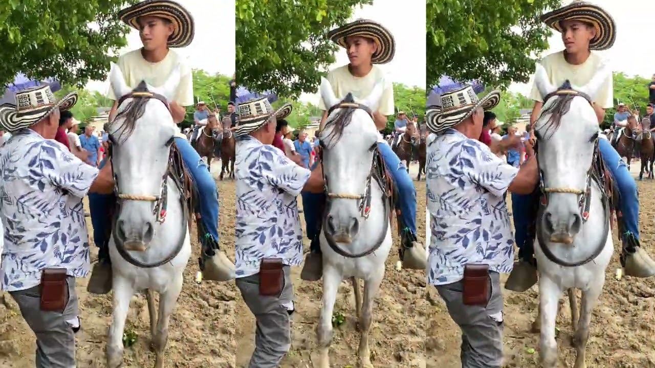 Albania Sucre se respeta y sus carreras a caballos lo máximo 