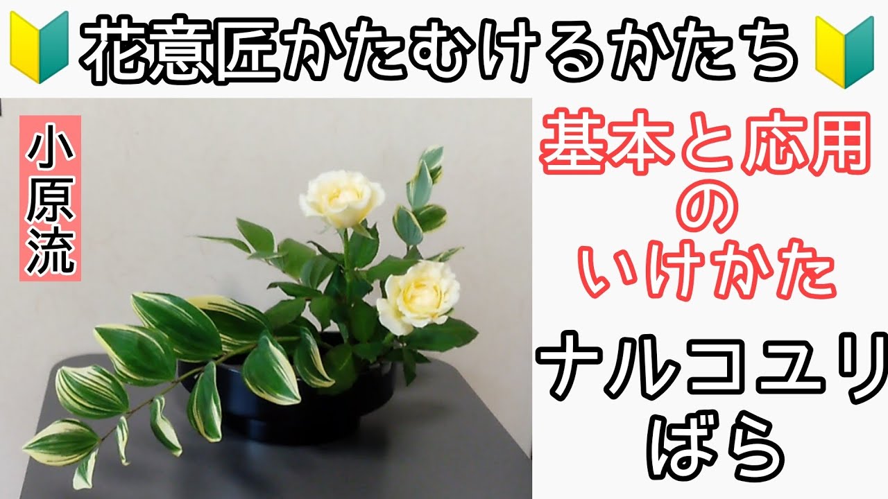 🔰基本の生け花　いけばな小原流　花意匠　かたむけるかたち基本　かたむけるかたち応用　盛花　ナルコユリ　鳴子百合　バラ　薔薇　始めよういけばな　レッスン！