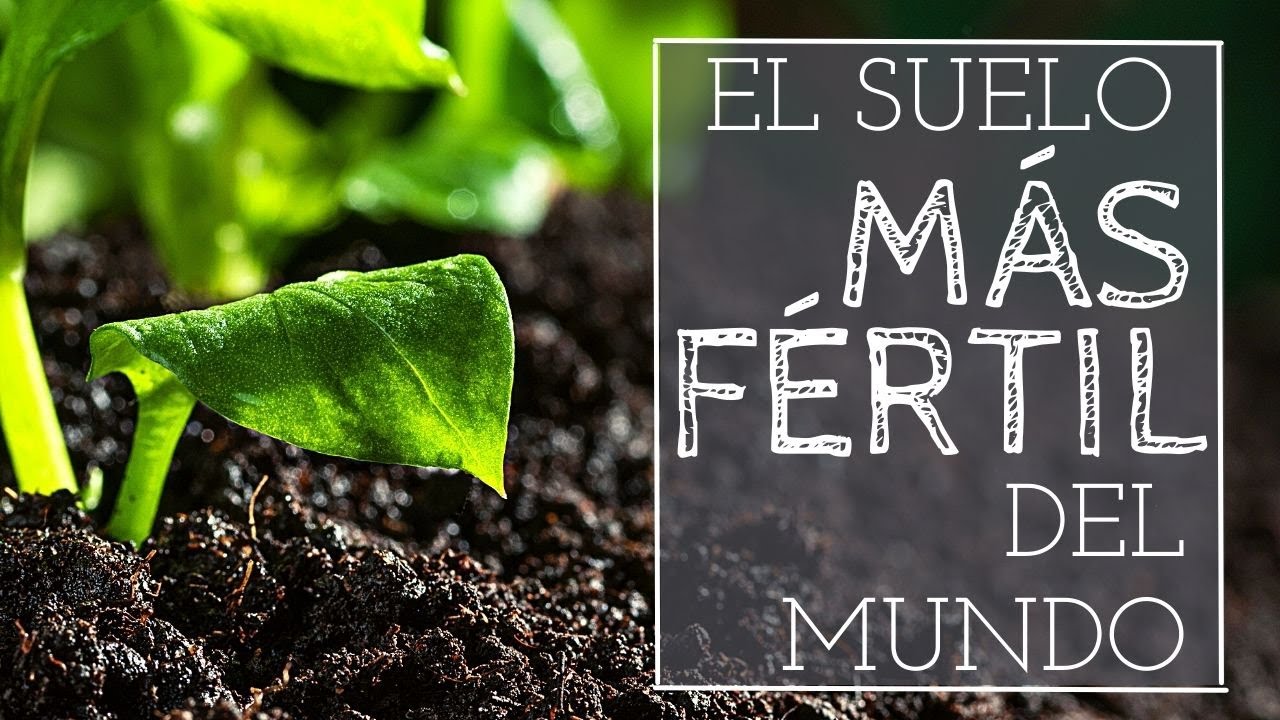 Cómo hacer la TIERRA mas FÉRTIL del mundo TERRA PRETA