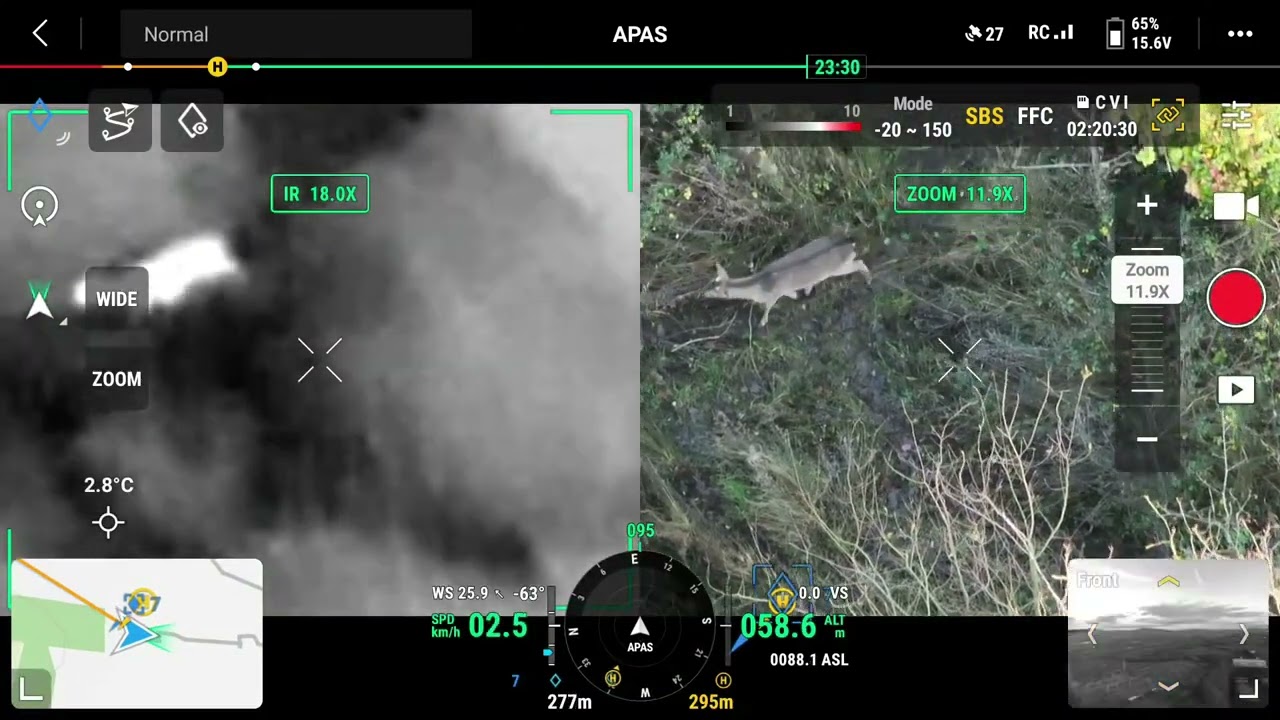 TRACKING DEER with a THERMAL DRONE
