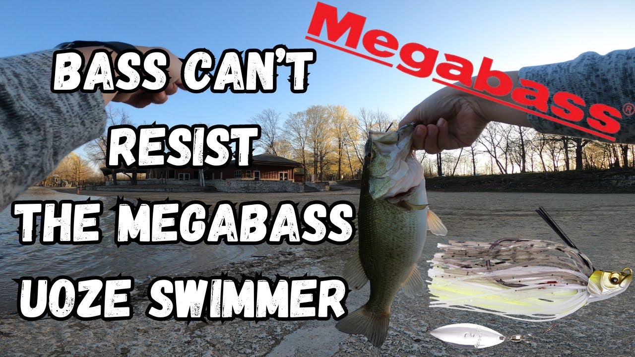 Bass can't resist the MEGABASS UOZE swimmer!!!