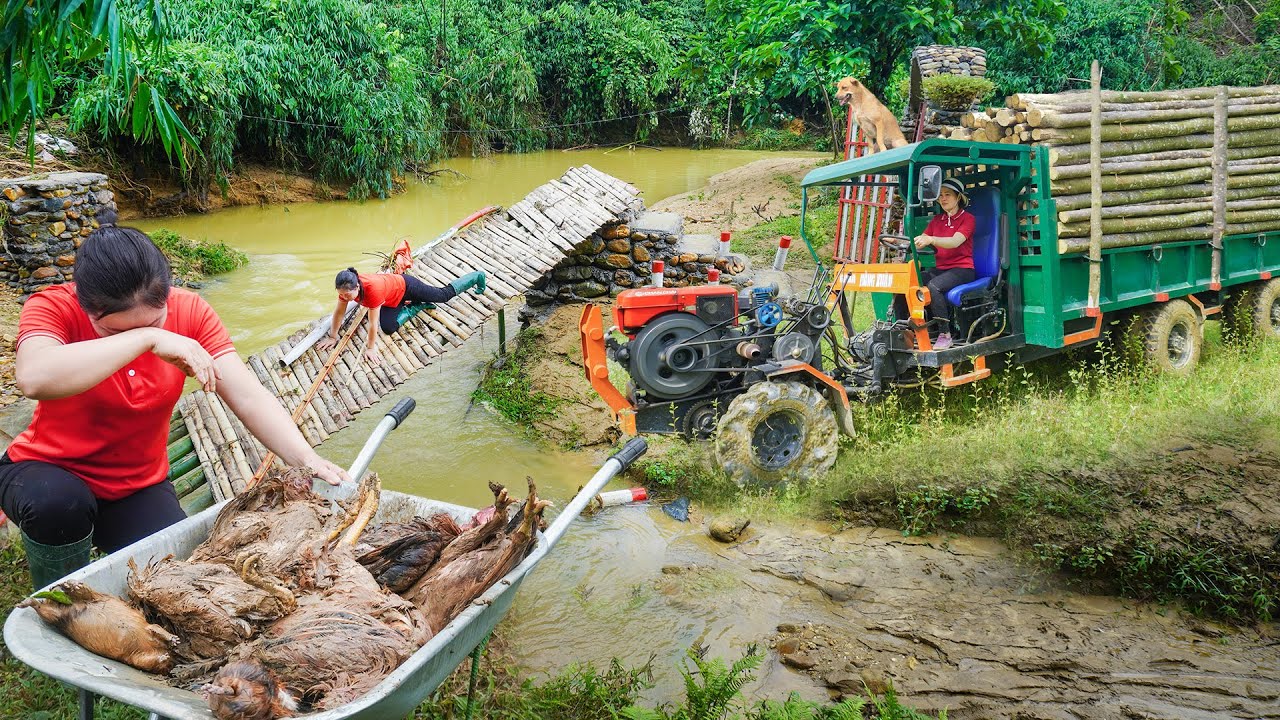 REWIND TIME: 120 Days Cope With Storms And Floods - Use Truck To Transport Goods To Sell