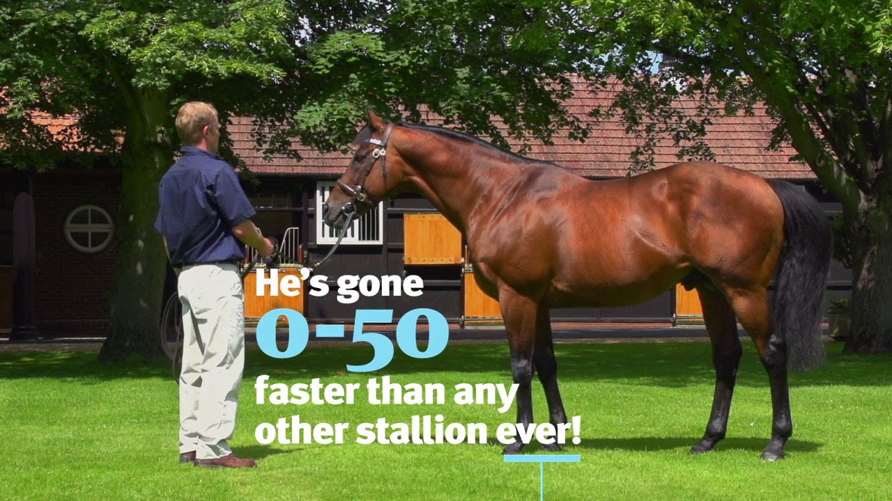 Dubawi. He’s gone 0-50 faster than any other stallion ever! Here's how he did it!