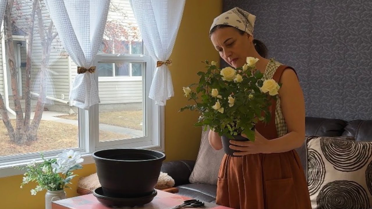 Country Style Sunny February | Indoor Rose, Dogs & Cozy Cooking