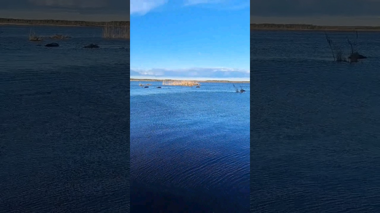 унесённые призраками🌊✨️    