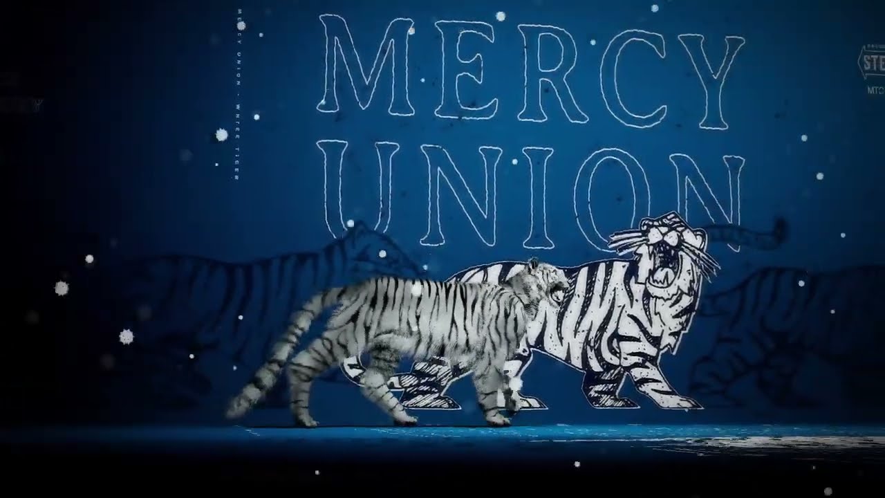 Mercy Union - The Void (Visualizer)