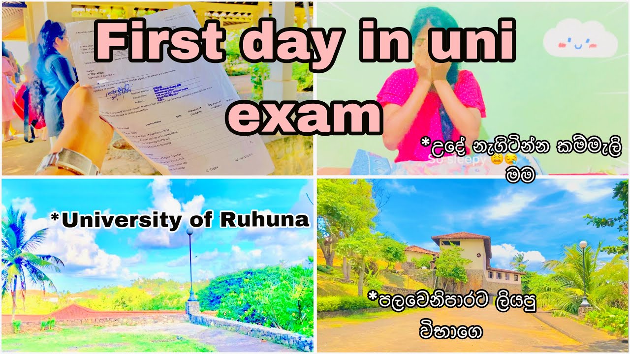 කැම්පස් එකෙ පලවෙනි exam එක🍄🔥🦋|කැම්පස් එක්සෑම් ලේසිද🙄🤭University of Ruhuna 🍃🌸| 1st year,1st sem exam