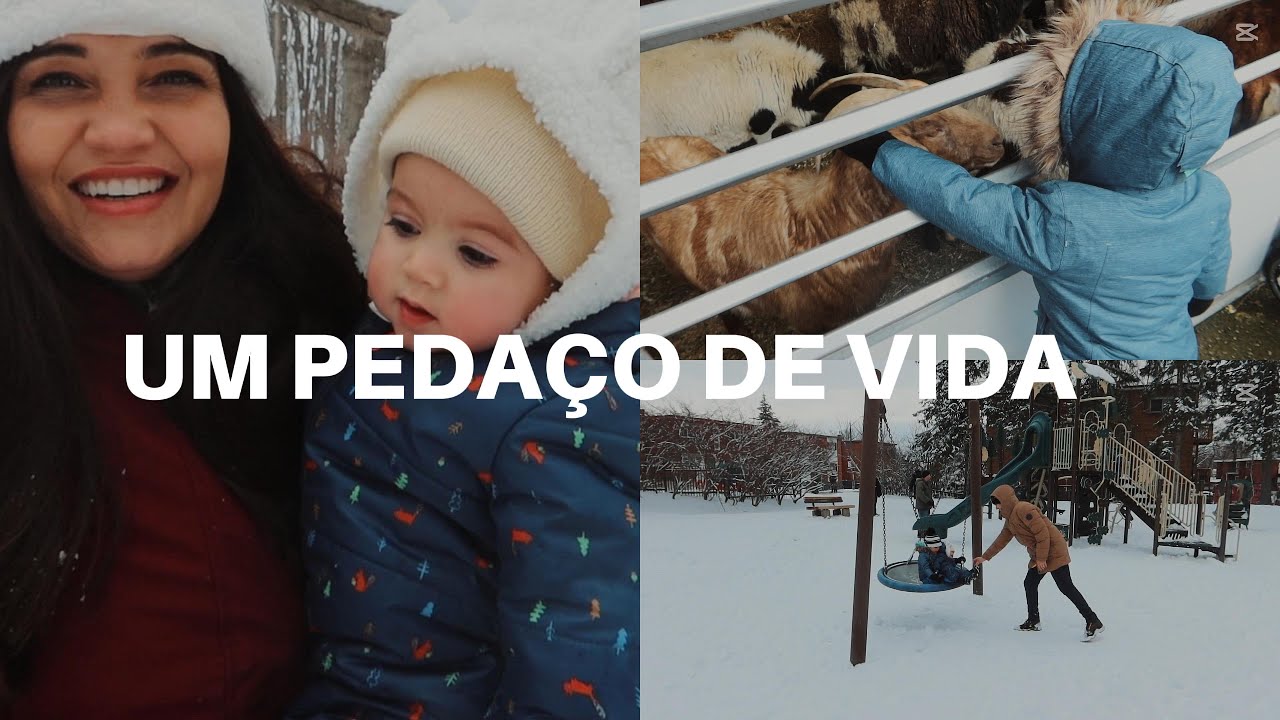 VLOG: Diversão na Neve e Festival no Canadá! ⛄