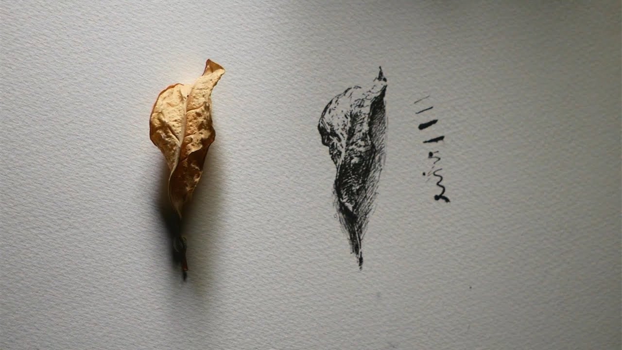 Having Fun in Pen and Ink - Simple Sketching