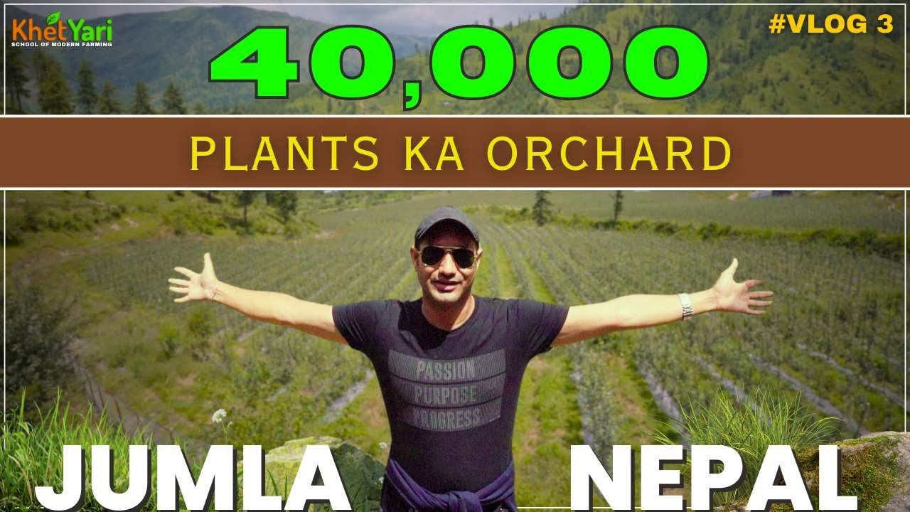 “India Se Jumla Tak: Gala Apple Harvest Ka Safar | Orchard Mein Hua Kamal”