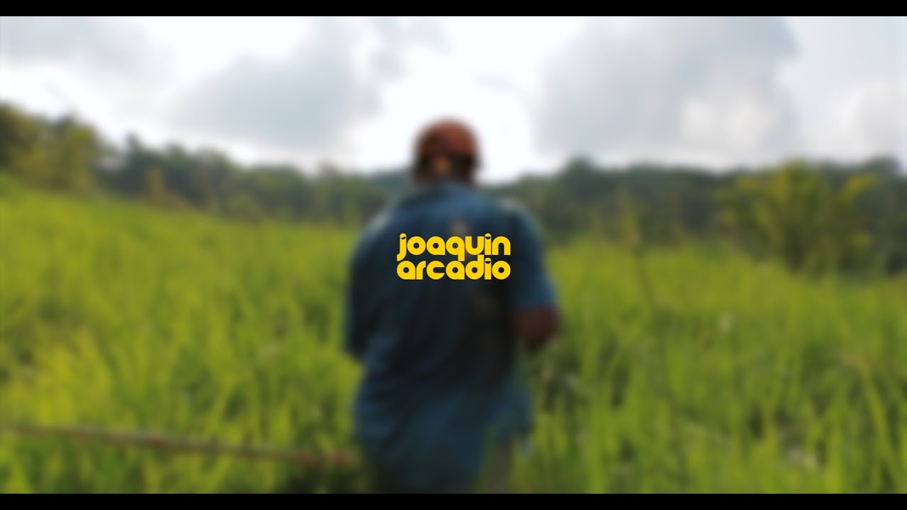 Obra audiovisual