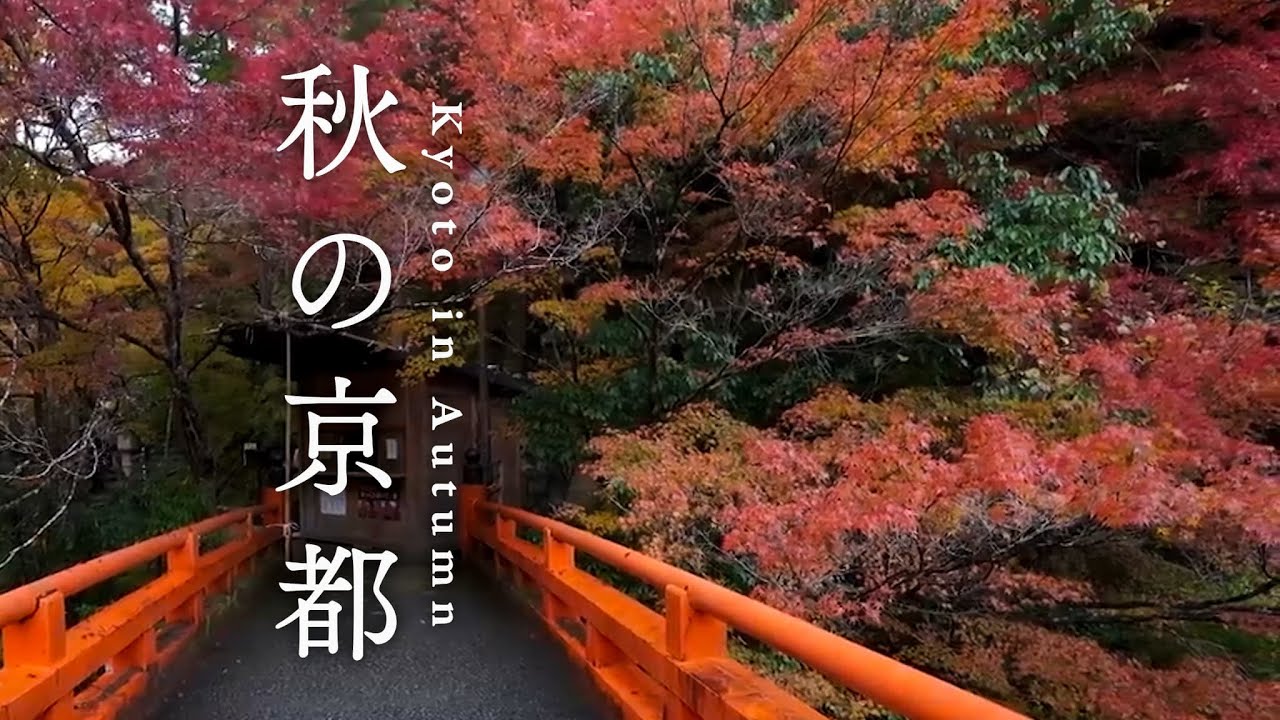 秋の京都 | Top Places for Autumn Colors in Kyoto