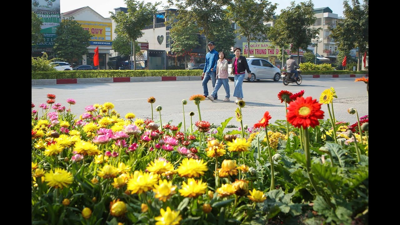 SẮC XUÂN NGẬP TRÀN TÌNH XUÂN LAN TỎA CHÀO ĐÓN XUÂN BÍNH NGỌ 2026