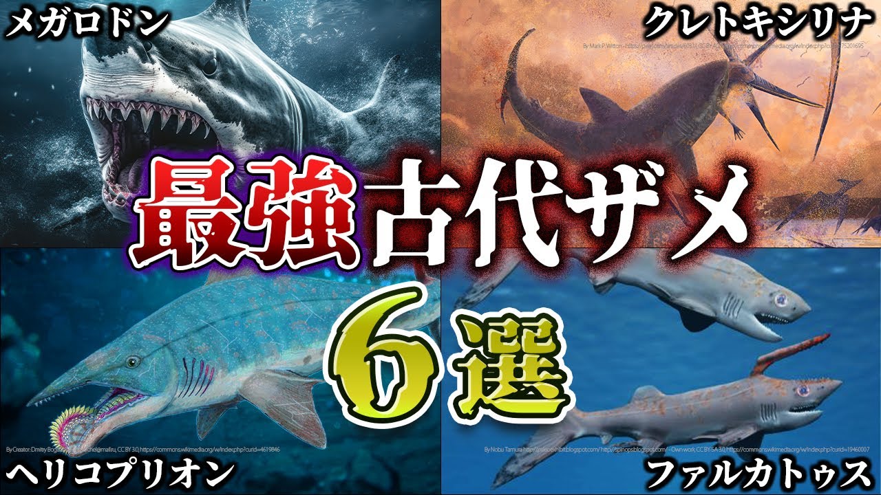 【ゆっくり解説】古代の海のギャングたち～　最強のサメ大集合！軟骨魚類編