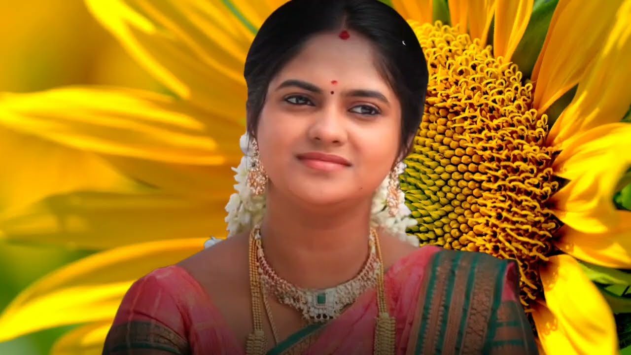 தமிழ்செல்வி செய்த காரியத்தால் கடுங்கோவத்தில் சேது ராஜாங்கம் #chinnamarumagal 