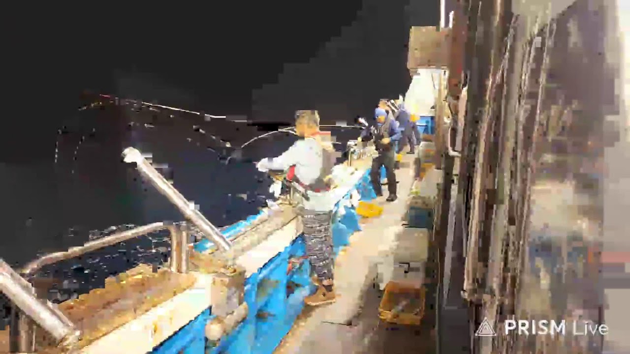 📡# 갈치낚시#동양호#외줄#실황!!