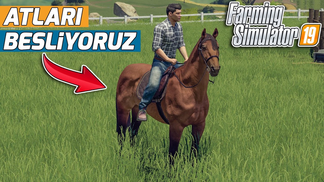 AT İŞİNDE ÇOK PARA VAR // ATLARIN OTUNU SUYUNU VERİYORUZ !!